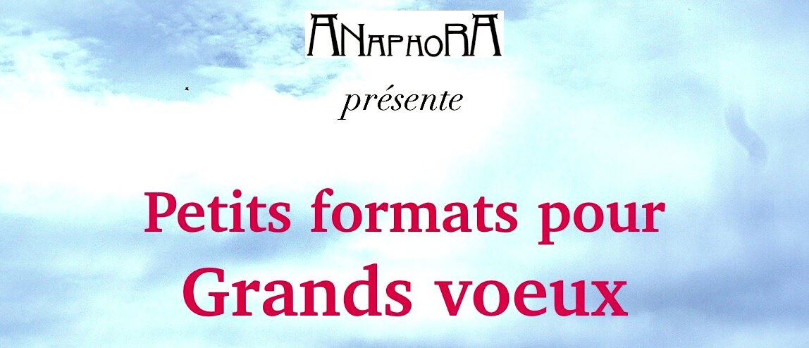 Petits formats pour grands voeux 2025